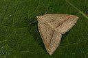 BUITEN BEELD Foto: 287061