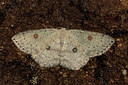 BUITEN BEELD Foto: 287064