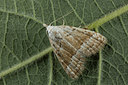 BUITEN BEELD Foto: 287065