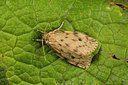 BUITEN BEELD Foto: 287068