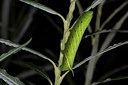 BUITEN BEELD Foto: 287075