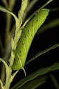 BUITEN BEELD Foto: 287076