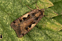BUITEN BEELD Foto: 287077