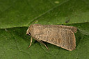 BUITEN BEELD Foto: 287079
