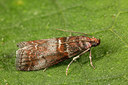 BUITEN BEELD Foto: 287080