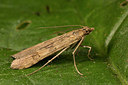 BUITEN BEELD Foto: 287086