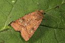 BUITEN BEELD Foto: 287089