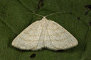 BUITEN BEELD Foto: 287093