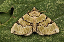 BUITEN BEELD Foto: 287095