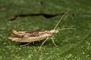 BUITEN BEELD Foto: 287096