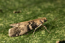 BUITEN BEELD Foto: 287098