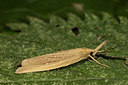 BUITEN BEELD Foto: 287099