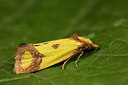 BUITEN BEELD Foto: 287101