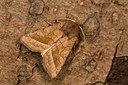 BUITEN BEELD Foto: 287102