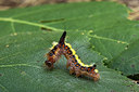 BUITEN BEELD Foto: 287108