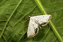 BUITEN BEELD Foto: 287115