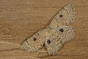 BUITEN BEELD Foto: 287128