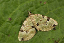 BUITEN BEELD Foto: 287129