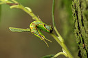 BUITEN BEELD Foto: 287135
