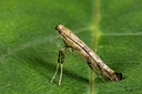 BUITEN BEELD Foto: 287139