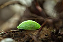 BUITEN BEELD Foto: 287148