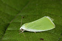 BUITEN BEELD Foto: 287153