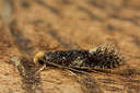 BUITEN BEELD Foto: 287157
