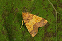 BUITEN BEELD Foto: 287164