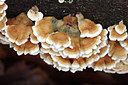 BUITEN BEELD Foto: 287179