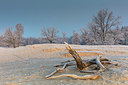 BUITEN BEELD Foto: 287264