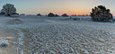 BUITEN BEELD Foto: 287271