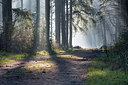 BUITEN BEELD Foto: 287273
