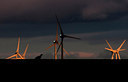 BUITEN BEELD Foto: 287291