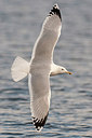 BUITEN BEELD Foto: 287310