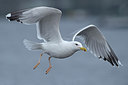BUITEN BEELD Foto: 287312