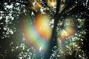 BUITEN BEELD Foto: 287336