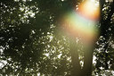 BUITEN BEELD Foto: 287338