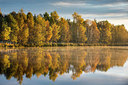 BUITEN BEELD Foto: 287377