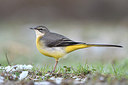 BUITEN BEELD Foto: 287379