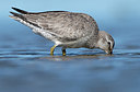 BUITEN BEELD Foto: 287415