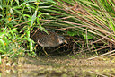BUITEN BEELD Foto: 287501
