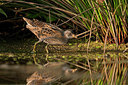 BUITEN BEELD Foto: 287502