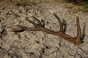 BUITEN BEELD Foto: 287547