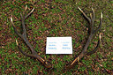 BUITEN BEELD Foto: 287549
