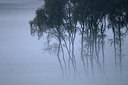 BUITEN BEELD Foto: 287559