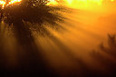 BUITEN BEELD Foto: 287561