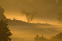 BUITEN BEELD Foto: 287562