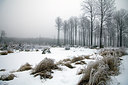BUITEN BEELD Foto: 287564