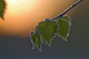 BUITEN BEELD Foto: 287596