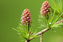 BUITEN BEELD Foto: 287605